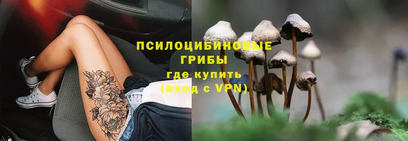 Галлюциногенные грибы Psilocybine cubensis  Алупка 